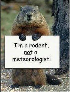 Groundhog holding sign